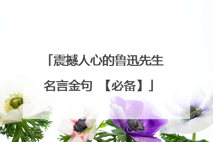 震撼人心的鲁迅先生名言金句 【必备】