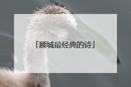 顾城最经典的诗