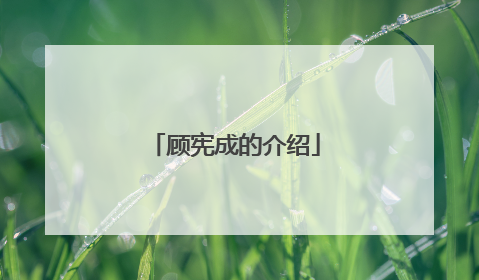 顾宪成的介绍
