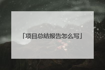 项目总结报告怎么写
