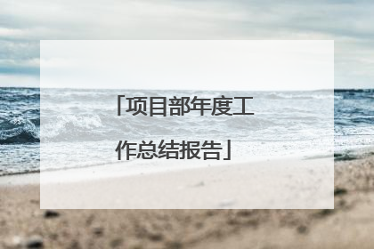 项目部年度工作总结报告