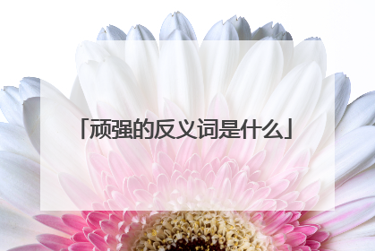 顽强的反义词是什么