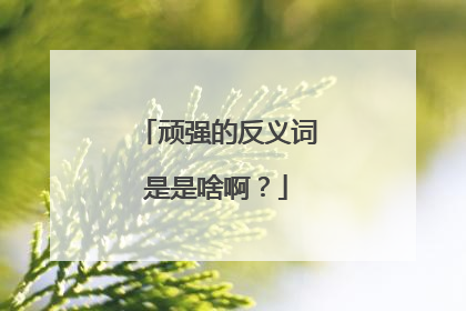 顽强的反义词是是啥啊?