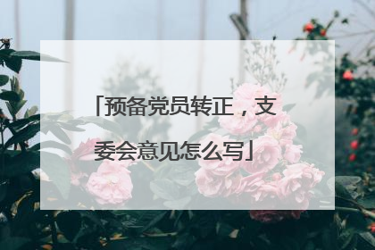 预备党员转正,支委会意见怎么写