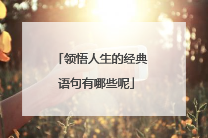 领悟人生的经典语句有哪些呢