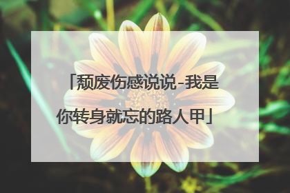 颓废伤感说说-我是你转身就忘的路人甲