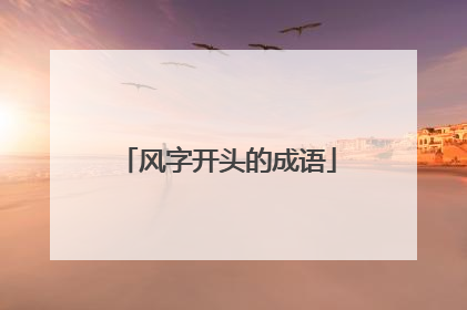 风字开头的成语