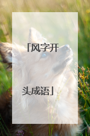 风字开头成语
