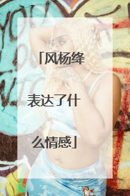 风杨绛表达了什么情感