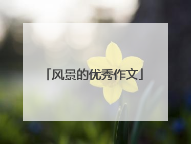 风景的优秀作文