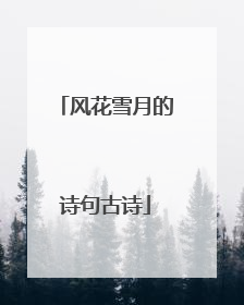 风花雪月的诗句古诗