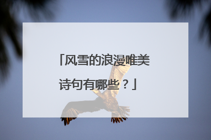 风雪的浪漫唯美诗句有哪些？