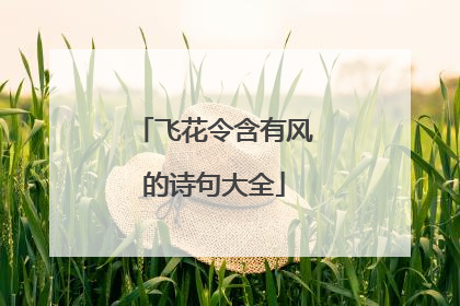 飞花令含有风的诗句大全