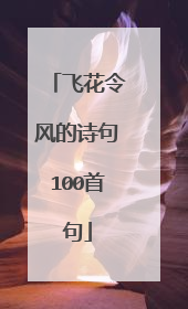 飞花令风的诗句100首句