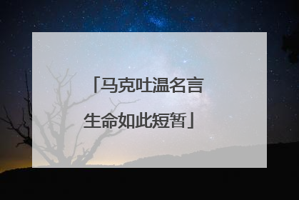 马克吐温名言生命如此短暂