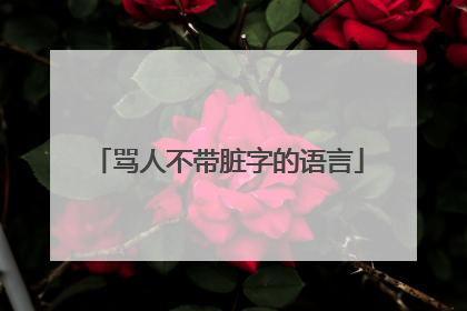 骂人不带脏字的语言
