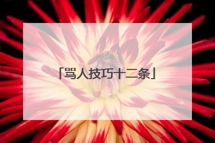 骂人技巧十二条