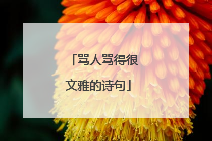 骂人骂得很文雅的诗句