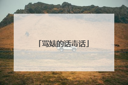 骂婊的话毒话