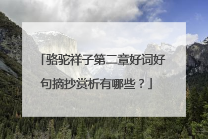 骆驼祥子第二章好词好句摘抄赏析有哪些？