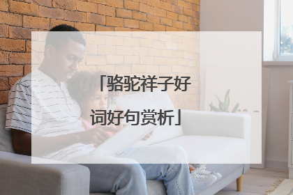 骆驼祥子好词好句赏析