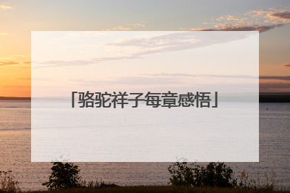 骆驼祥子每章感悟