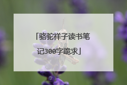 骆驼祥子读书笔记300字跪求