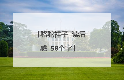 骆驼祥子 读后感 50个字