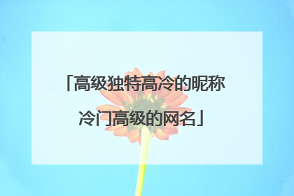 高级独特高冷的昵称 冷门高级的网名