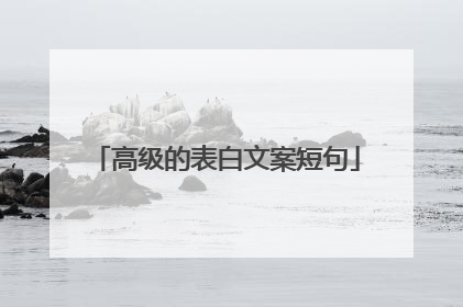 高级的表白文案短句