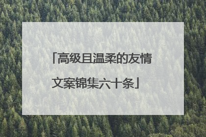 高级且温柔的友情文案锦集六十条