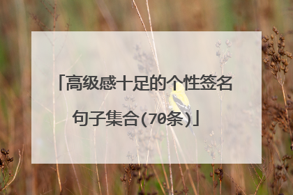 高级感十足的个性签名句子集合(70条)