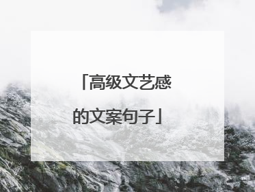 高级文艺感的文案句子