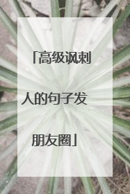 高级讽刺人的句子发朋友圈