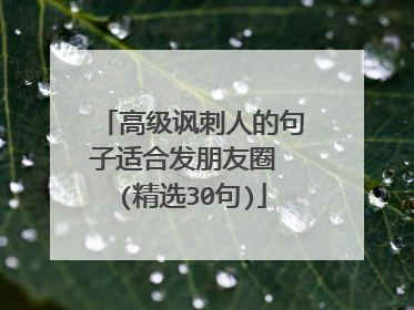高级讽刺人的句子适合发朋友圈 (精选30句)