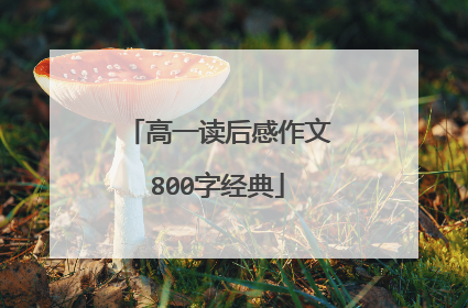高一读后感作文800字经典