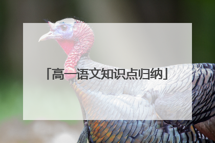 高一语文知识点归纳