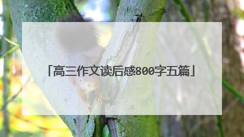 高三作文读后感800字五篇