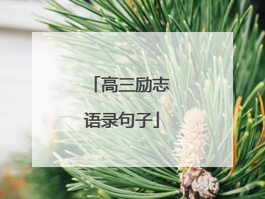 高三励志语录句子