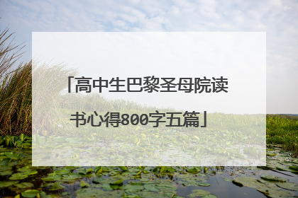 高中生巴黎圣母院读书心得800字五篇