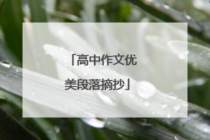 高中作文优美段落摘抄