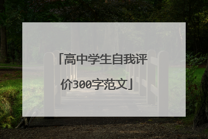高中学生自我评价300字范文