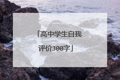 高中学生自我评价300字