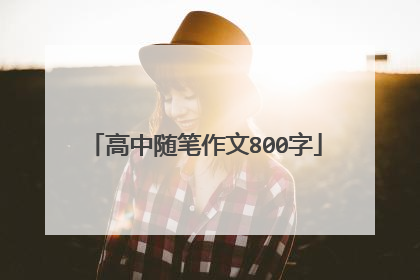 高中随笔作文800字