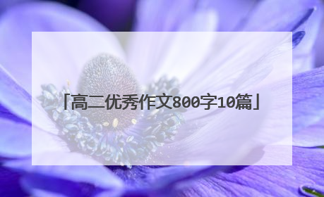 高二优秀作文800字10篇