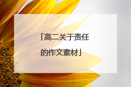 高二关于责任的作文素材