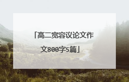 高二宽容议论文作文800字5篇