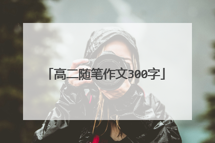 高二随笔作文300字
