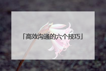 高效沟通的六个技巧
