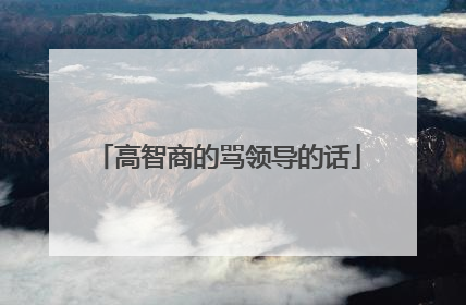高智商的骂领导的话